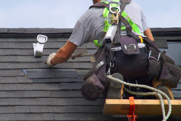 Best Residential Vinyl Siding Installation  in Brookdale, CA
