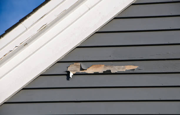 Professional Siding Installation & Repair in Brookdale, CA